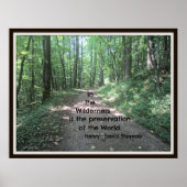 In der Wildnis: Zitat von Henry David Thoreau Poster (Vorne)