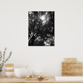 In die Bäume leuchten Poster (Küche)