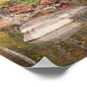 In die Cove Poster (Ecke)