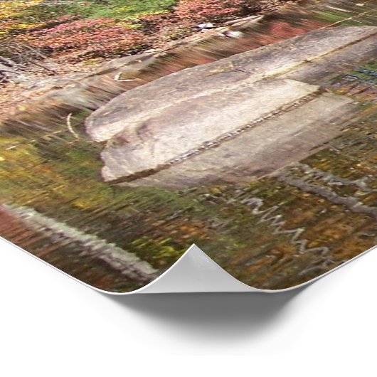 In die Cove Poster (Ecke)