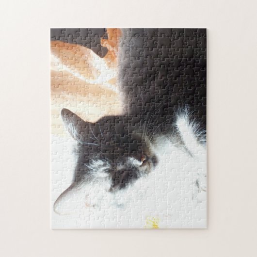 In die helle Sonne Katze oder machen Sie sich selb Puzzle (Vertikal)