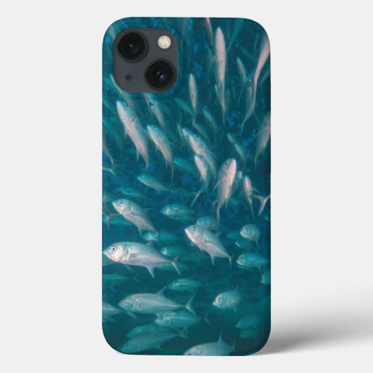 In die Jacke Case-Mate iPhone Hülle (Rückseite)