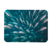 In die Jacke Magnet (Horizontal)