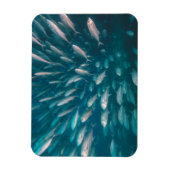 In die Jacke Magnet (Vertikal)