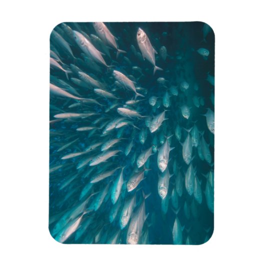 In die Jacke Magnet (Vertikal)