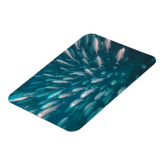 In die Jacke Magnet (Linke Seite)