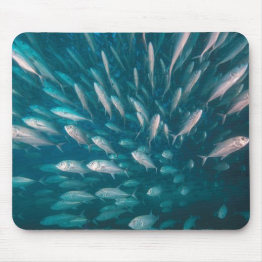 In die Jacke Mousepad (Vorne)