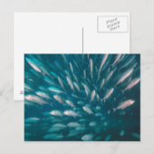 In die Jacke Postkarte (Vorne/Hinten)