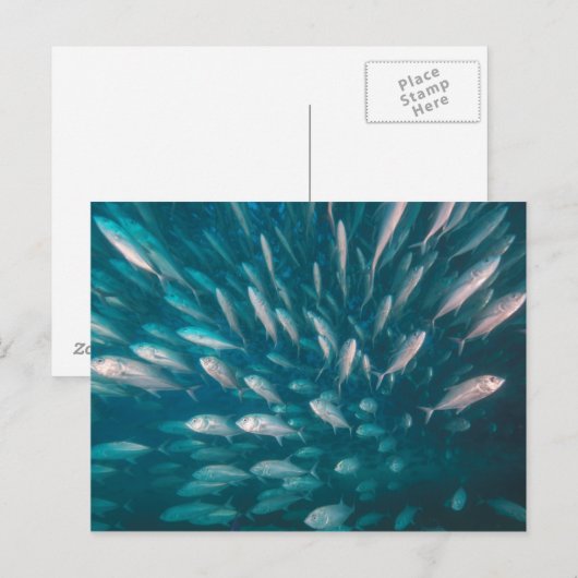 In die Jacke Postkarte (Vorne/Hinten)