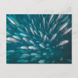 In die Jacke Postkarte