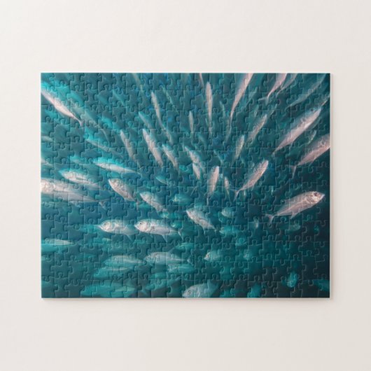 In die Jacke Puzzle (Horizontal)