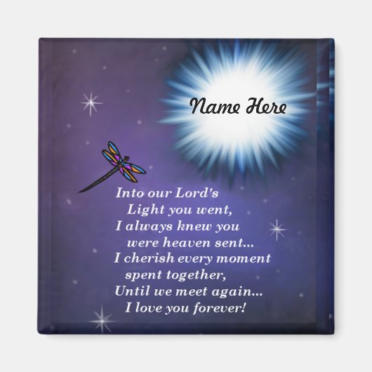 In die Lichthupe der Libellen Magnet (Vorne)