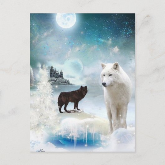 In die Mystische Wildnis Postkarte (Vorderseite)