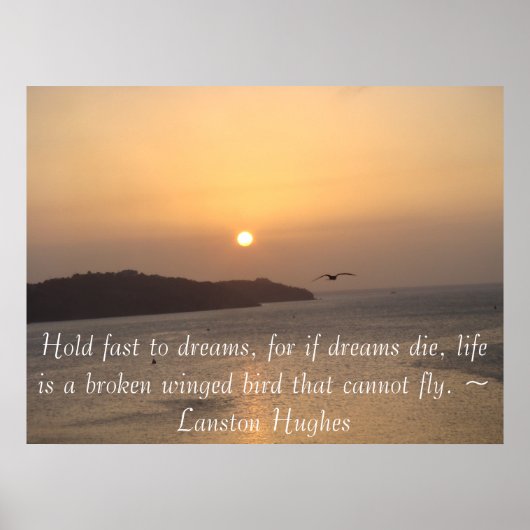 In die Sonne fliegen Poster (Vorne)