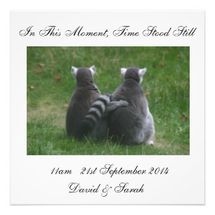 In diesem Augenblick stand die Zeit still - Lemur Fotodruck