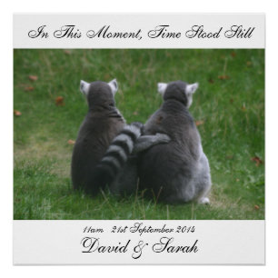 In diesem Augenblick stand die Zeit still - Lemur Poster