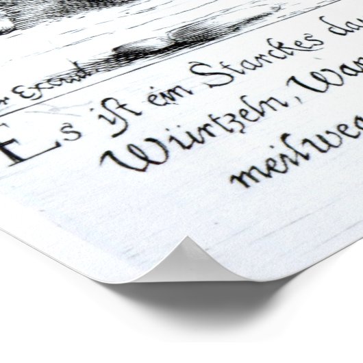 In dieser Eigenschaft taten Iren Poster (Ecke)