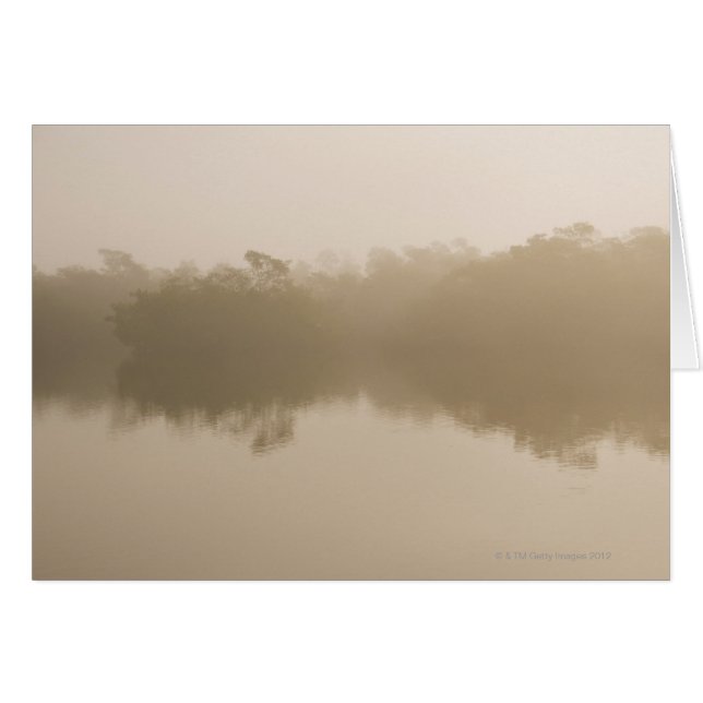 in Ding Darling (Vorderseite (Horizontal))