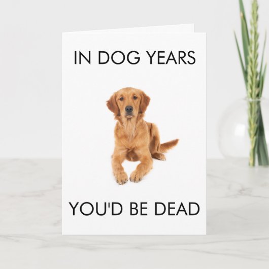 In Dog Years You'd Be Dead Birthday Card Karte (Vorderseite)