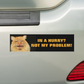 In Eile? Nicht meine Problem-Katze Meme Autoaufkleber (Auf Auto)