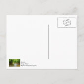 In einem Bach Postkarte (Rückseite)