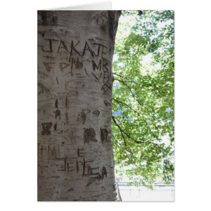 In einem Baum Central Park Naturfotografie