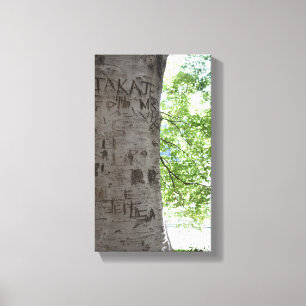 In einem Baum Central Park Naturfotografie Leinwanddruck