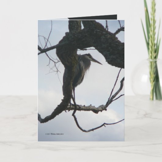 In einem Baum Karte (Vorderseite)