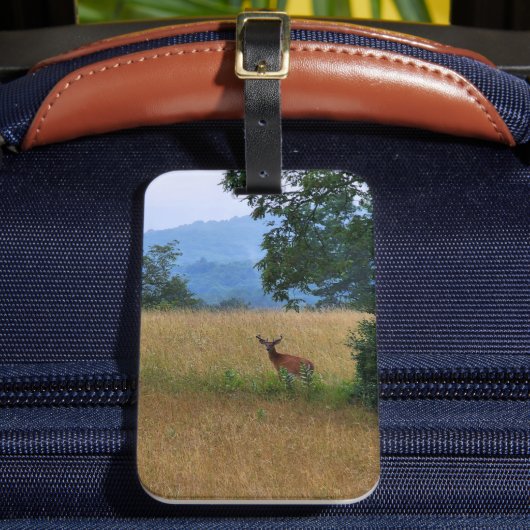 In einem Feld Stehender Buck Gepäckanhänger (Vorderseite Insitu 2)