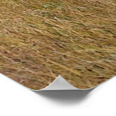 In einem Feld Stehender Buck Poster (Ecke)