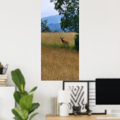 In einem Feld Stehender Buck Poster (Heimbüro)