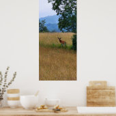 In einem Feld Stehender Buck Poster (Küche)