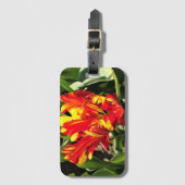 In einem flammenden Papagei-Tulip Gepäckanhänger (Vorderseite Vertikal)