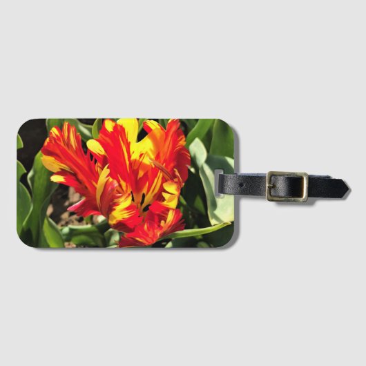 In einem flammenden Papagei-Tulip Gepäckanhänger (Vorderseite (Horizontal))
