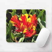 In einem flammenden Papagei-Tulip Mousepad (Mit Mouse)