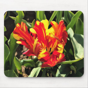 In einem flammenden Papagei-Tulip Mousepad