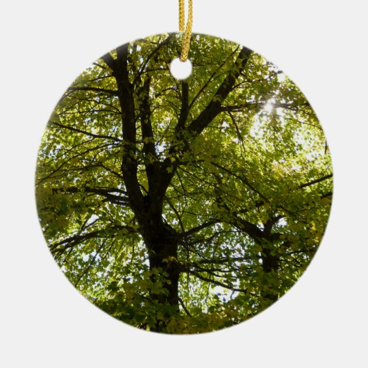 In einem gelben Ahornbaum Herbst Keramik Ornament (Vorne)