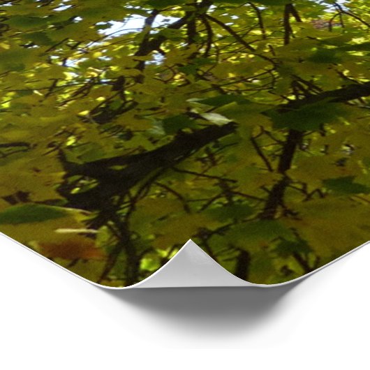 In einem gelben Ahornbaum Herbst Poster (Ecke)