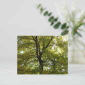 In einem gelben Ahornbaum Herbst Postkarte (Stehend Vorderseite)