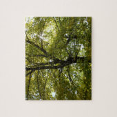 In einem gelben Ahornbaum Herbst Puzzle (Vertikal)
