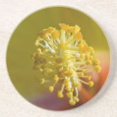 In einem gelben hawaiianischen Hibiskus Getränkeuntersetzer (Vorne)