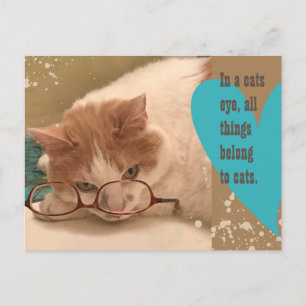 In einem Katzenauge Lustige Katze Postkarte