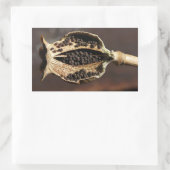 In einem Poppy-Blume-Pod Rechteckiger Aufkleber (Tasche)