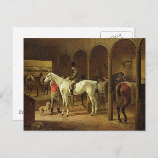 In einem Stable Postkarte (Vorne/Hinten)