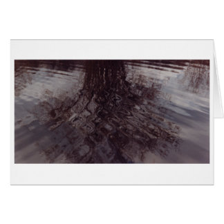 In einem Teich überschneiden sich Rippel