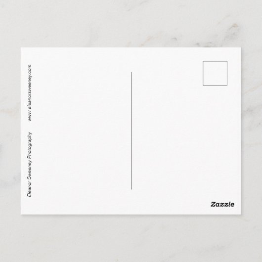 "In einem Traum" Abstrakte, digital veränderte Ros Postkarte (Rückseite)