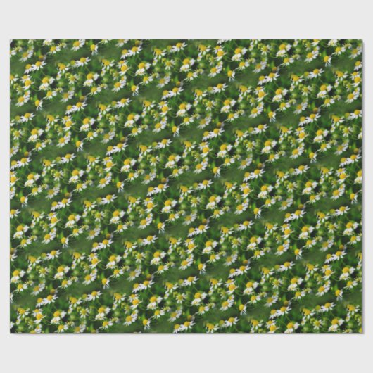 In einem traumhaften Feld der Kamille Geschenkpapier (Flach)