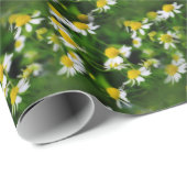 In einem traumhaften Feld der Kamille Geschenkpapier (Rolleneckpunkt)
