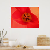 In einem Tulip Poster (Küche)