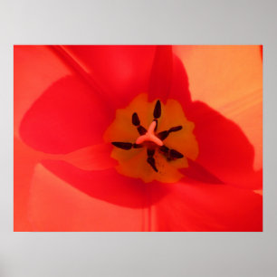 In einem Tulip Poster